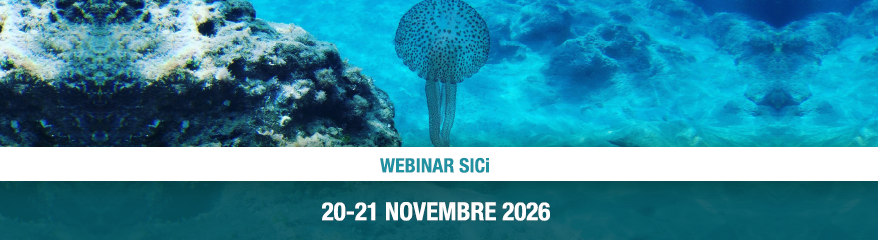 visual Corso
